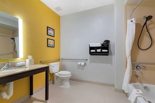Oda, 1 En Büyük (King) Boy Yatak, Engellilere Uygun, Sigara İçilmez (Bathtub)