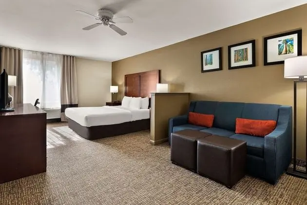 Süit, Sigara İçilmez (1 King Bed)