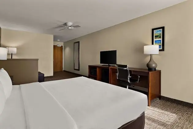 Süit, Sigara İçilmez (1 King Bed)