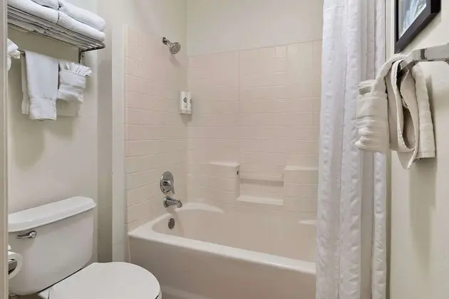 Süit, Sigara İçilmez, Sıcak Su Küveti (1 King Bed)