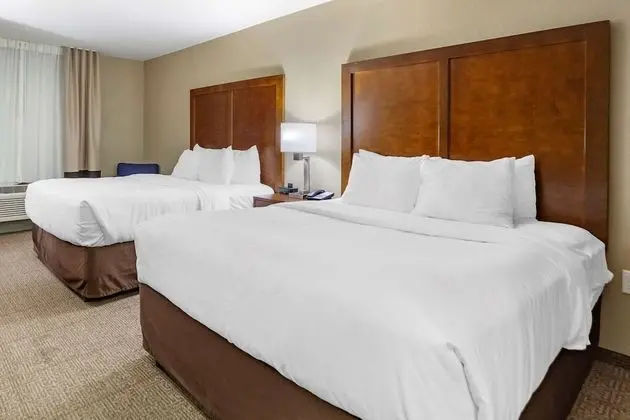 Standard Oda, 2 Büyük (Queen) Boy Yatak, Sigara İçilmez (Pet Friendly)