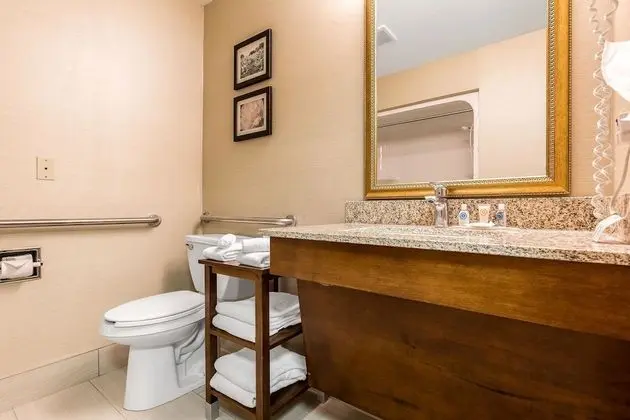 Standard Oda, 1 En Büyük (King) Boy Yatak, Engellilere Uygun, Sigara İçilmez (Accessible Tub)