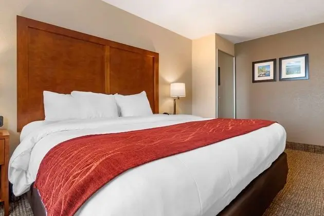 Standard Oda, 1 En Büyük (King) Boy Yatak, Sigara İçilmez