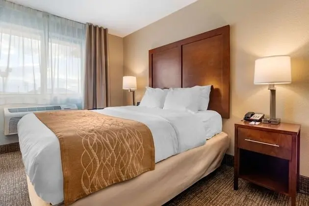 Standard Oda, 1 En Büyük (King) Boy Yatak, Sigara İçilmez