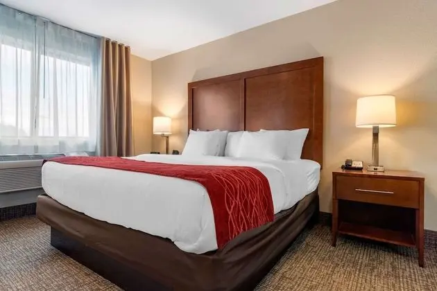 Standard Oda, 1 En Büyük (King) Boy Yatak, Sigara İçilmez