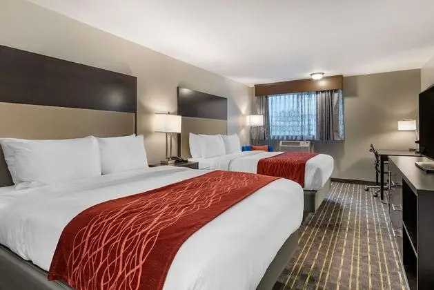 Standard Oda, 2 Büyük (Queen) Boy Yatak, Sigara İçilmez (Pet Friendly)