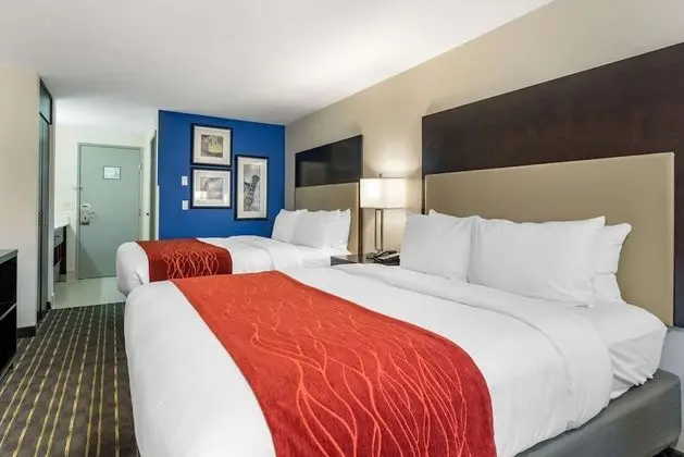 Standard Oda, 2 Büyük (Queen) Boy Yatak, Sigara İçilmez (Pet Friendly)