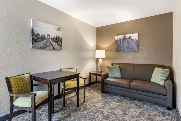 1 King Bed, Suites, Nonsmoking