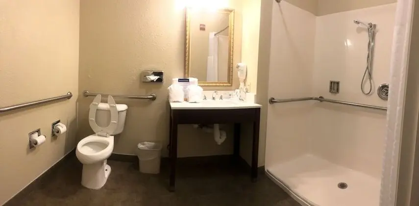 Executive Tek Büyük Yataklı Oda, 1 En Büyük (King) Boy Yatak ve Çekyat, Sigara İçilmez