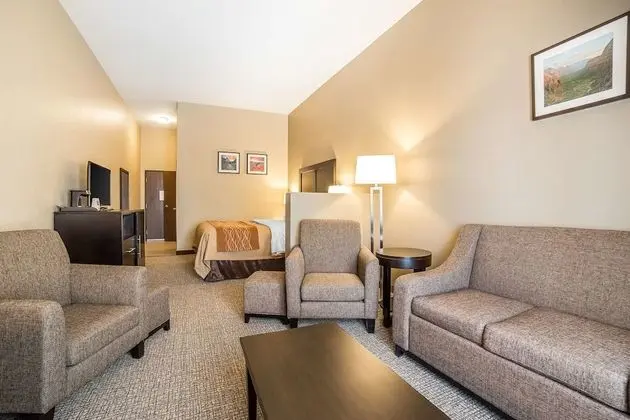 Süit, 1 En Büyük (King) Boy Yatak ve Çekyat, Sigara İçilmez (2 Person Sofa Bed)
