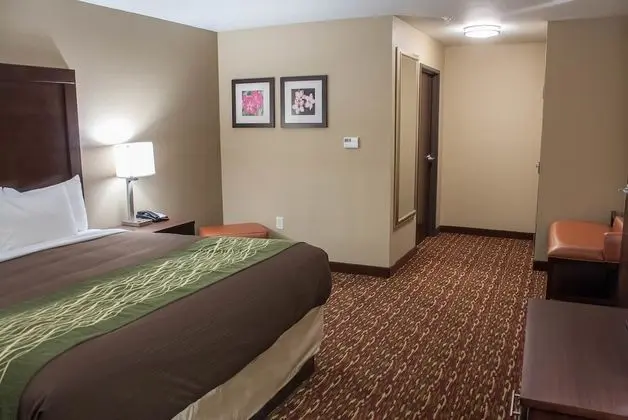 Süit, 1 En Büyük (King) Boy Yatak ve Çekyat, Sigara İçilmez