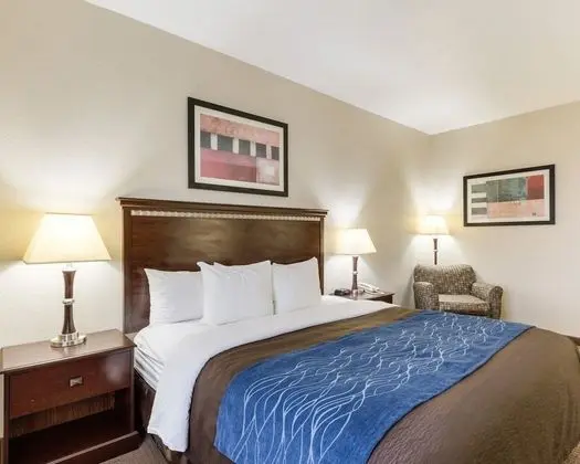 Standard Oda, 1 En Büyük (King) Boy Yatak, Sigara İçilmez