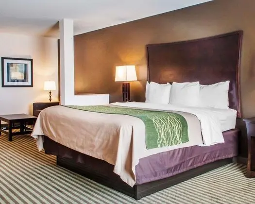 Süit, 1 En Büyük (King) Boy Yatak, Sigara İçilmez