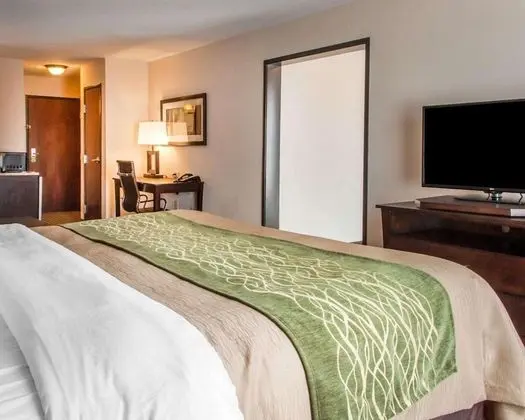 Süit, 1 En Büyük (King) Boy Yatak, Sigara İçilmez