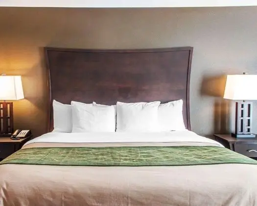 Süit, 1 En Büyük (King) Boy Yatak, Sigara İçilmez