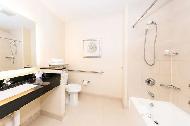 Standard Oda, 1 En Büyük (King) Boy Yatak, Engellilere Uygun, Küvet (Bathtub)
