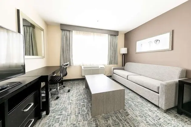 Süit, 2 Çift Kişilik Yatak, Sigara İçilmez (Living Room)