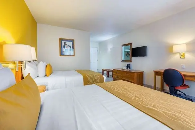 Standard Tek Büyük Yataklı Oda, 2 Çift Kişilik Yatak, Sigara İçilmez