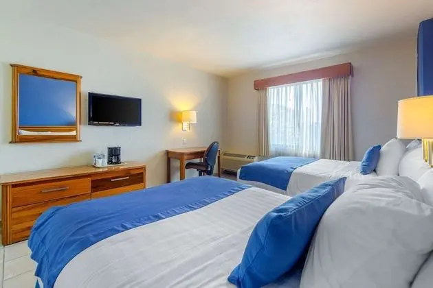 Standard Tek Büyük Yataklı Oda, 2 Çift Kişilik Yatak, Sigara İçilmez