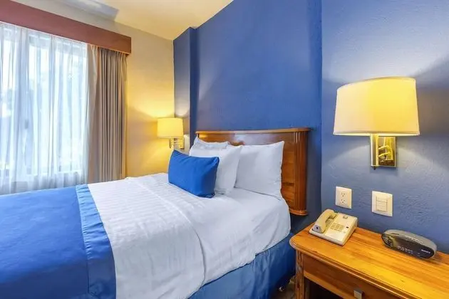 Standard Tek Büyük Yataklı Oda, Sigara İçilmez