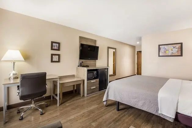 Standard Oda, 1 En Büyük (King) Boy Yatak, Engellilere Uygun, Sigara İçilmez