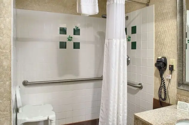 Standard Oda, 1 En Büyük (King) Boy Yatak, Engellilere Uygun, Sigara İçilmez