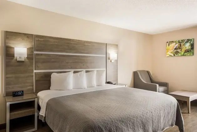 Standard Oda, 1 En Büyük (King) Boy Yatak, Sigara İçilmez