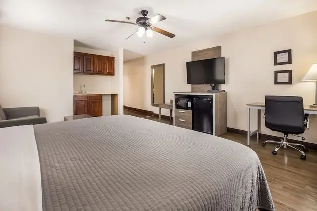 Standard Oda, 1 En Büyük (King) Boy Yatak, Sigara İçilmez