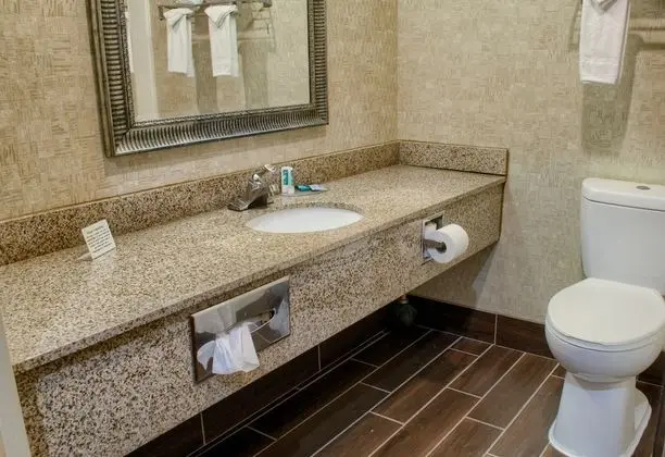 Standard Oda, 1 En Büyük (King) Boy Yatak, Sigara İçilmez