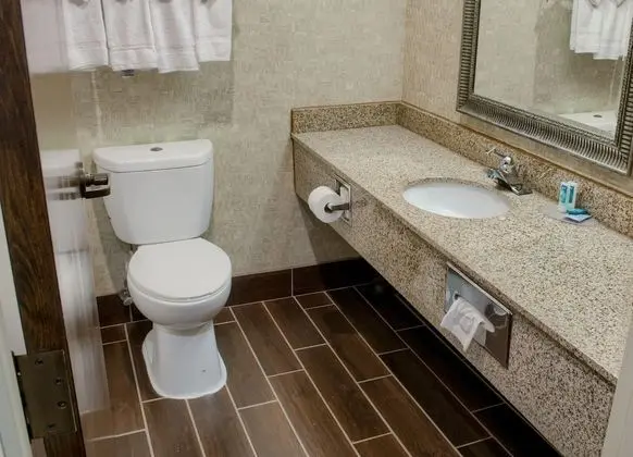 Standard Tek Büyük Yataklı Oda, 2 Büyük (Queen) Boy Yatak, Sigara İçilmez