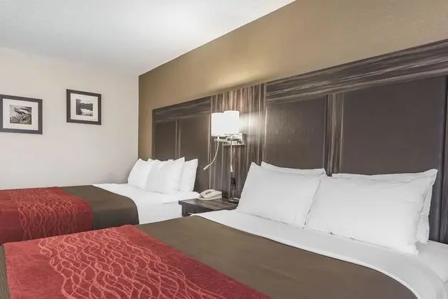 Room, 2 Queen Beds, Ground Floor, Non Smoking (Pet Friendly)