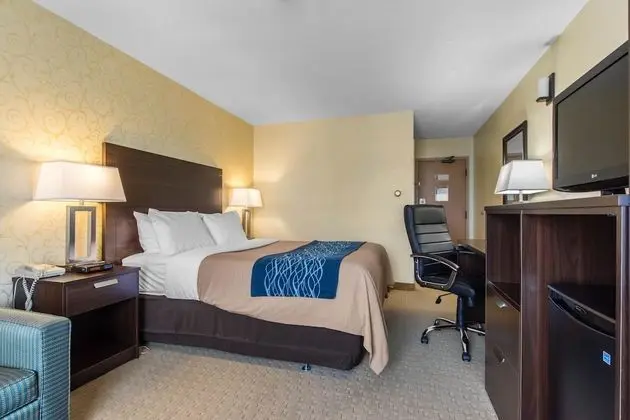 Oda, 1 Büyük (Queen) Boy Yatak ve Çekyat, Sigara İçilmez