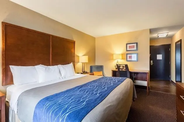 Standard Oda, 1 En Büyük (King) Boy Yatak, Sigara İçilmez