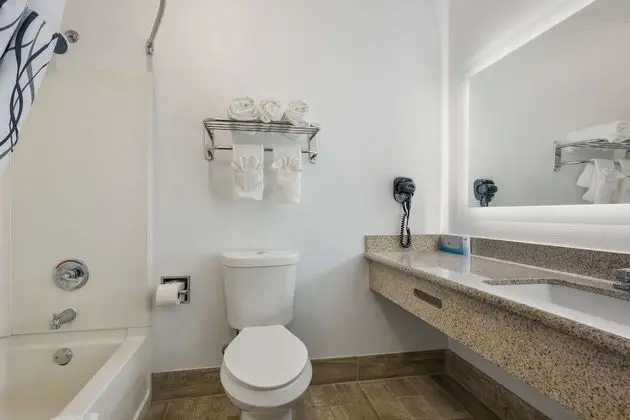 Standard Oda, 2 Çift Kişilik Yatak, Sigara İçilmez, Buzdolabı ve Mikrodalga