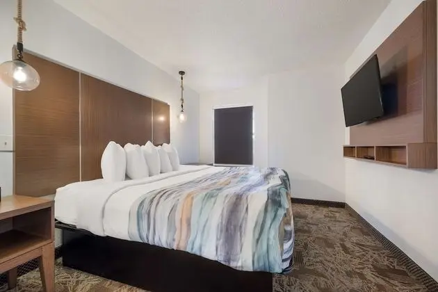 Süit, 1 En Büyük (King) Boy Yatak, Sigara İçilmez, Buzdolabı ve Mikrodalga (with Sofabed)