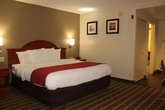 Efficiency Room with 1 King Bed - Non-Smoking
