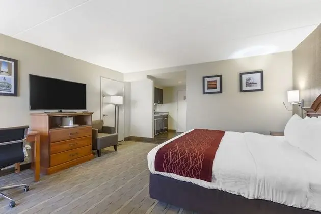 Efficiency Room with 1 King Bed - Non-Smoking