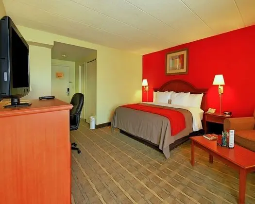 Efficiency Room with 1 King Bed - Non-Smoking