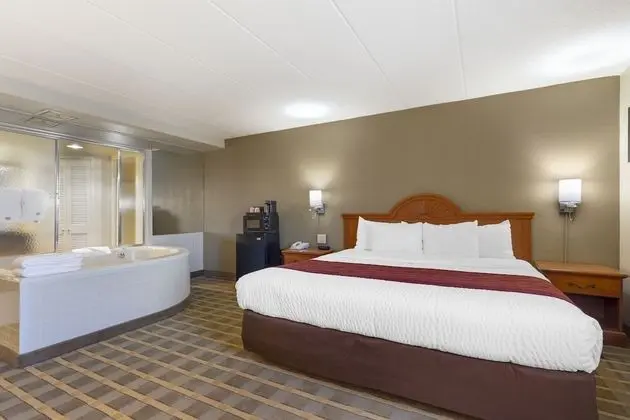 Suite Room with 1 King Bed - Non-Smoking