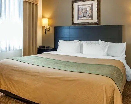 Standard Room, 1 King Bed with Sofa bed, Non Smoking