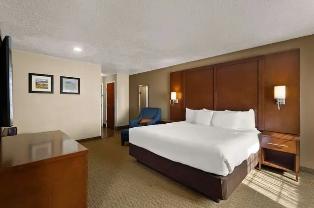 Standard Room, 1 King Bed with Sofa bed, Non Smoking