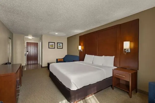 Standard Room, 1 King Bed with Sofa bed, Non Smoking