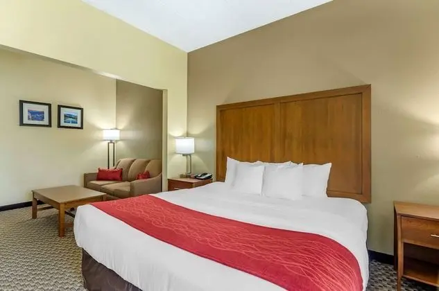 Standard Oda, 1 En Büyük (King) Boy Yatak, Sigara İçilmez