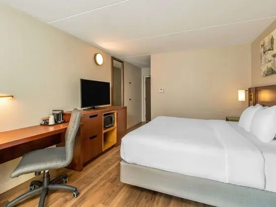 Oda, 1 En Büyük (King) Boy Yatak, Sigara İçilmez (Pet Friendly)