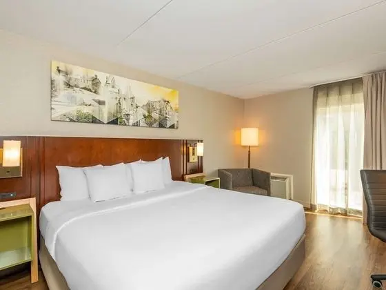 Oda, 1 En Büyük (King) Boy Yatak, Sigara İçilmez (Pet Friendly)