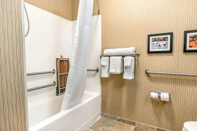 Oda, 1 En Büyük (King) Boy Yatak, Engellilere Uygun, Sigara İçilmez (Accessible Tub)