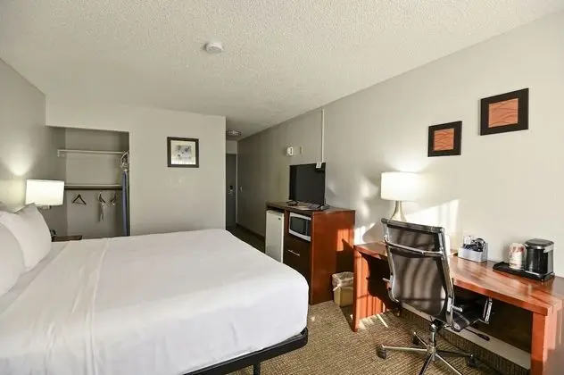 Oda, 1 En Büyük (King) Boy Yatak, Engellilere Uygun, Sigara İçilmez