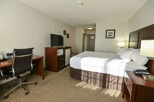 Standard Oda, 1 En Büyük (King) Boy Yatak, Sigara İçilmez