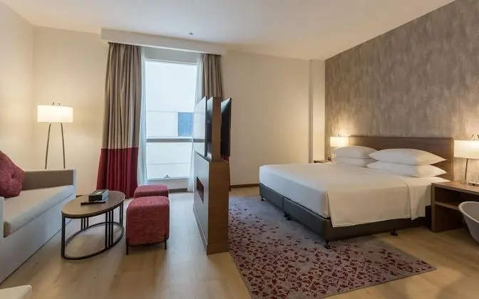 Stüdyo Süit, 1 En Büyük (King) Boy Yatak (Efficiency)