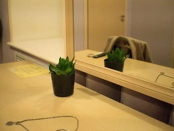 Superior Tek Büyük veya İki Ayrı Yataklı Oda